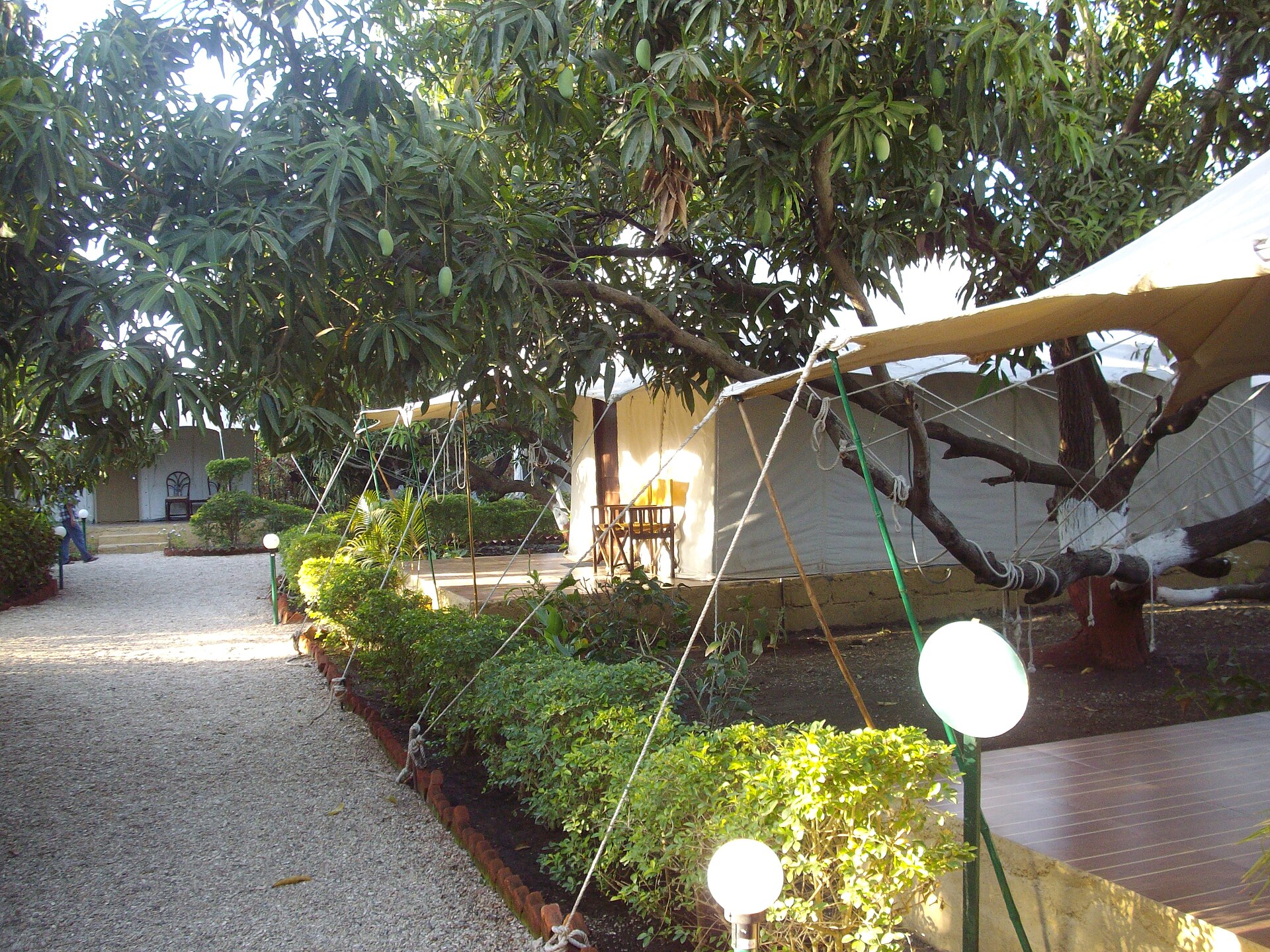 luxury tent camp desert