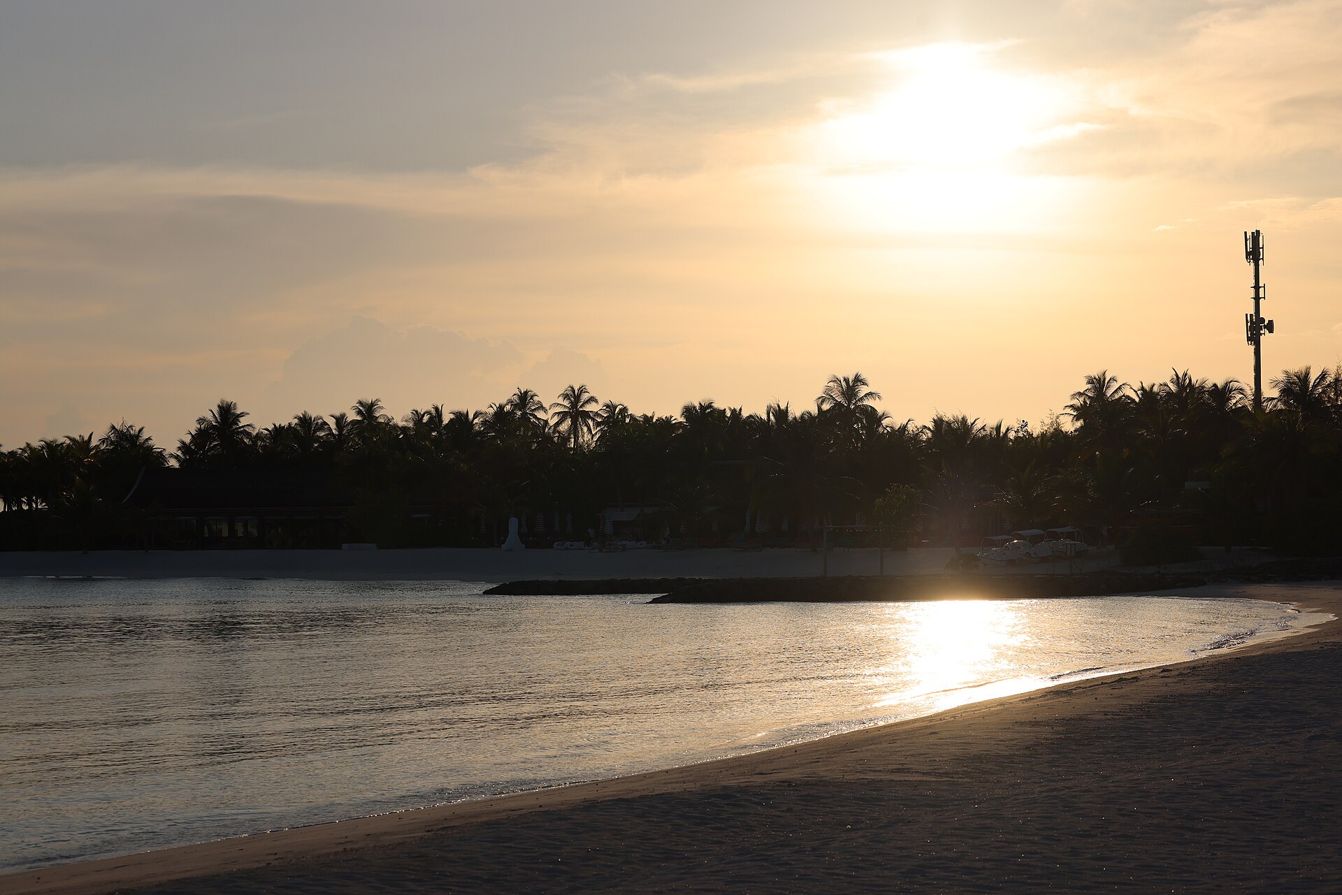 Maldives lagoon beach palm
